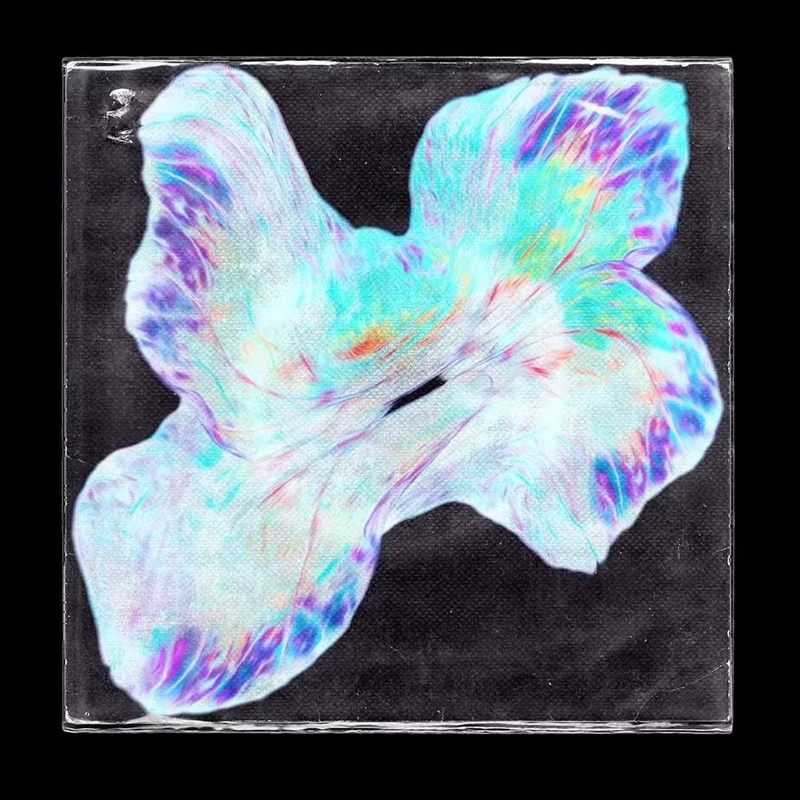 Pochette de l'album Étoiles Hurlantes de Sol6